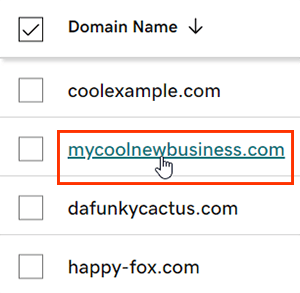 Screenshot showing the selection of domains from GoDaddy.