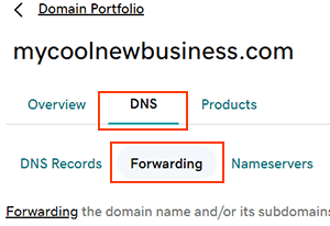 Screenshot showing the forwarding option in GoDaddy.