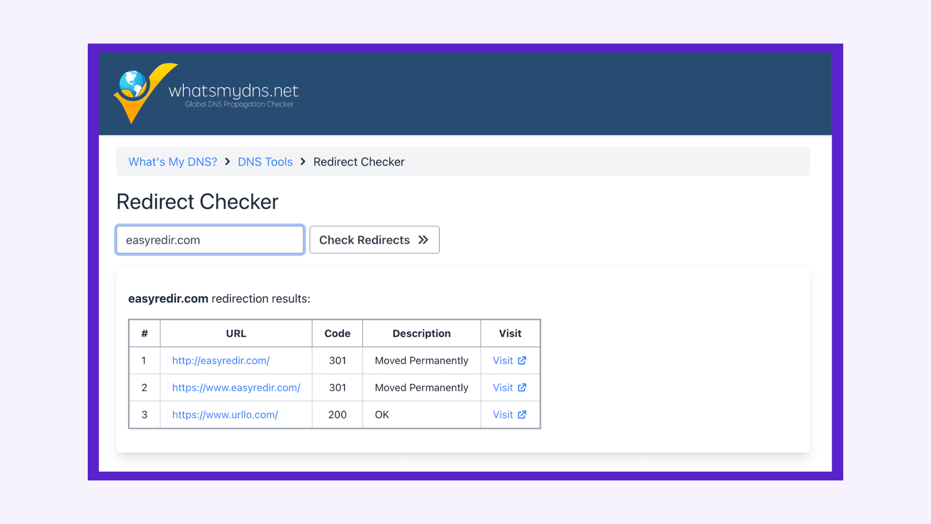 Screenshot of whatsmydns.net redirect checker.