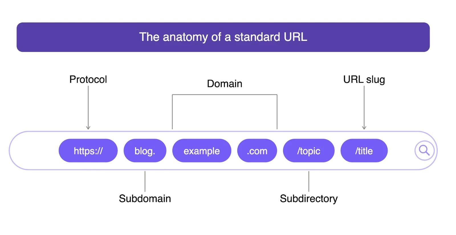 Graphic showing the different parts of a URL.