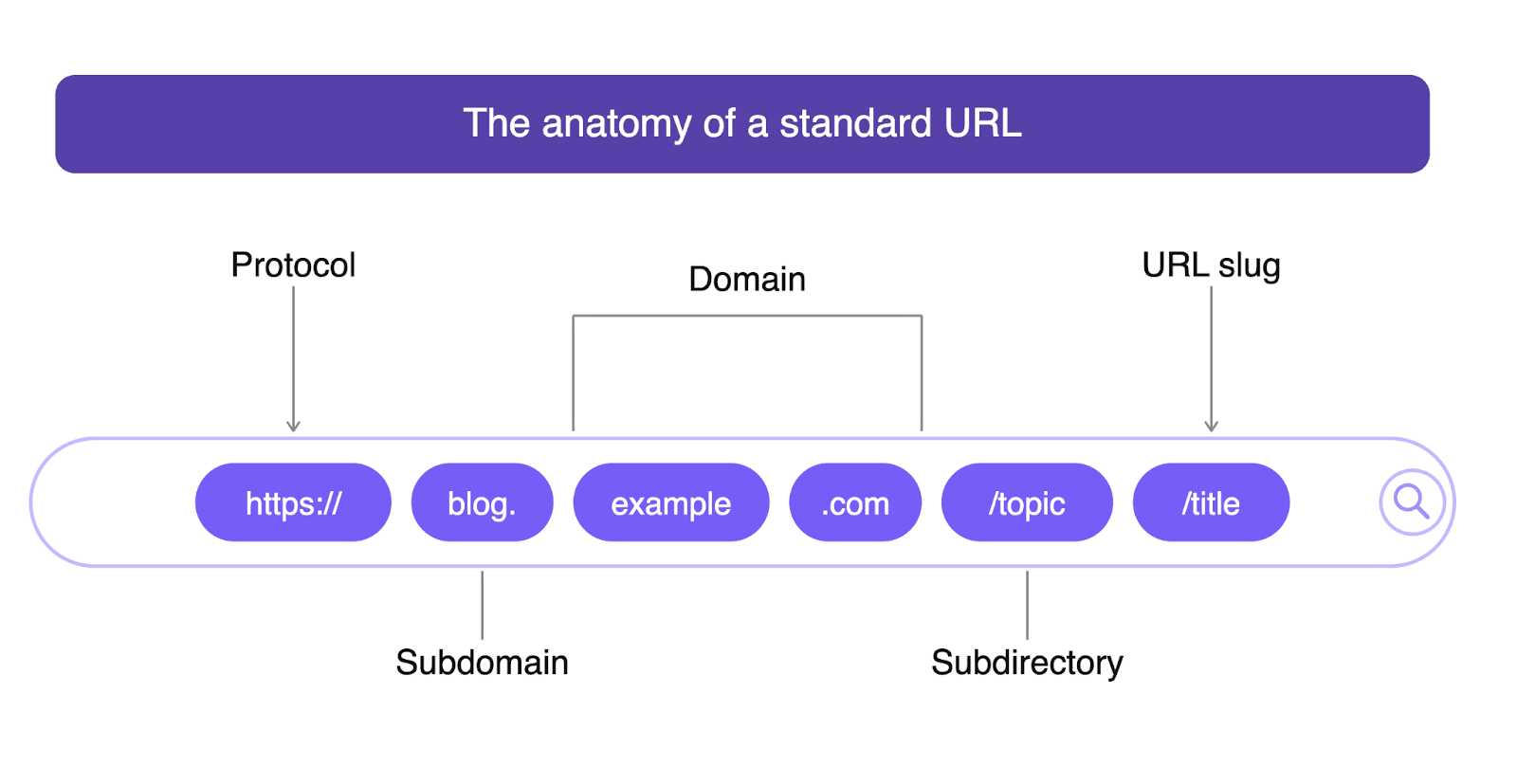 Graphic showing the different parts of a standard URL.