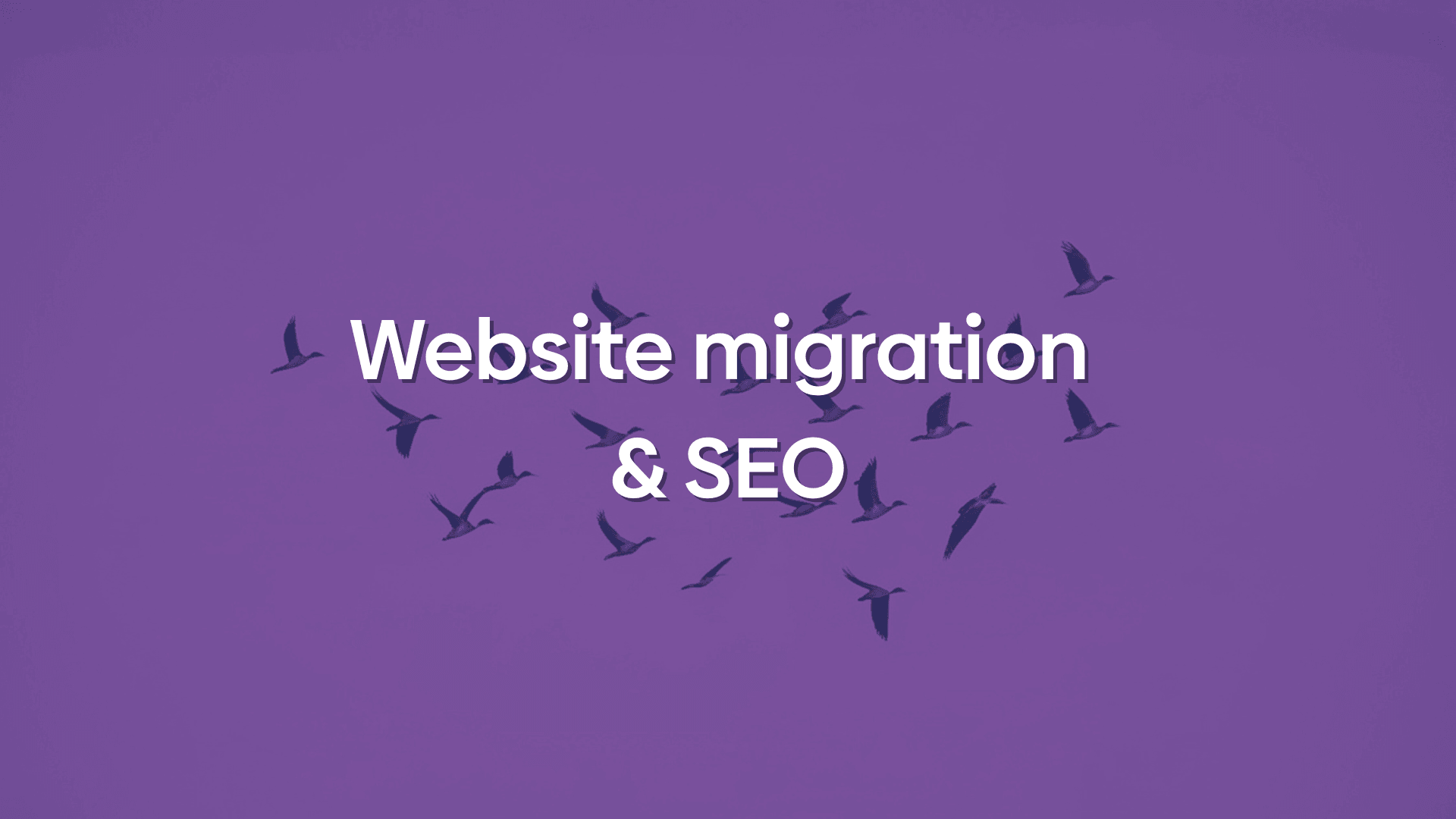 Graphic of a flock of birds migrating with text overlay reading "website migration & SEO".
